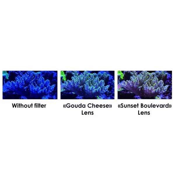MAXSPECT PASTEL REEF MAGNIFIER  - LENS 