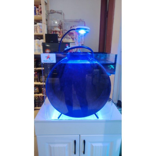 REDSTARFISH JELLY FISH TANK 