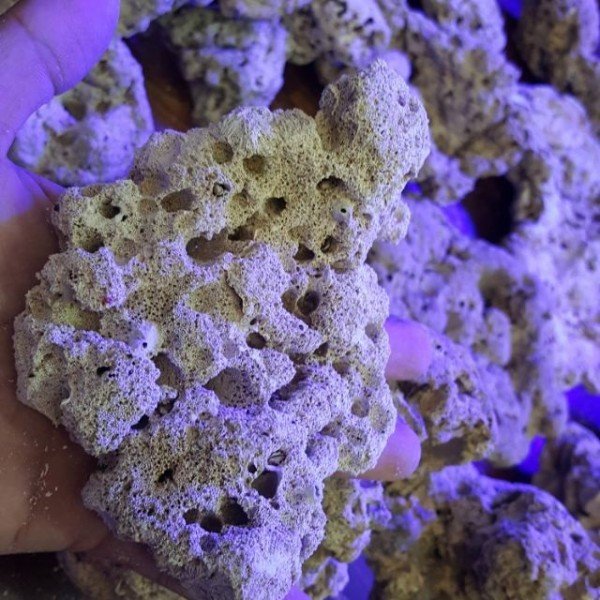 LIFE ROCK FOR MARINE FISH AQUARIUM - 1KG