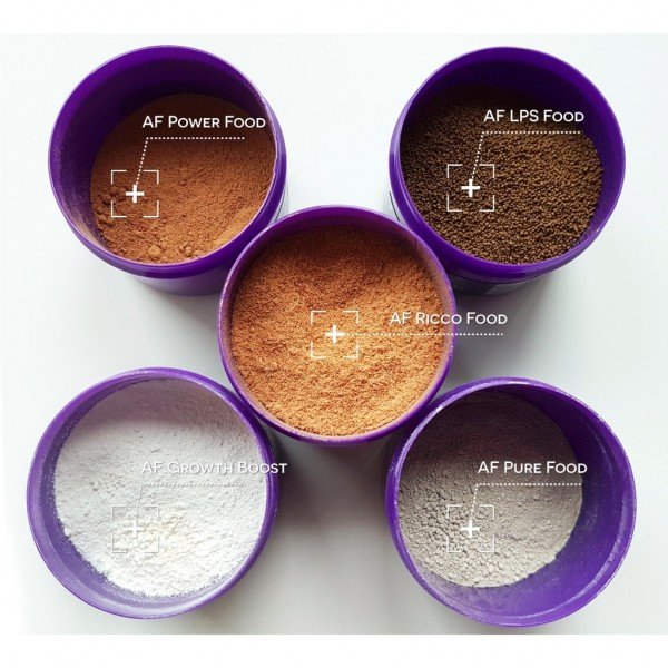 AQUAFOREST RICCO FOOD - 30G