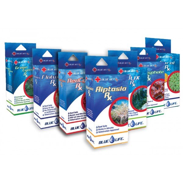 BLUE LIFE RX PRODUCT