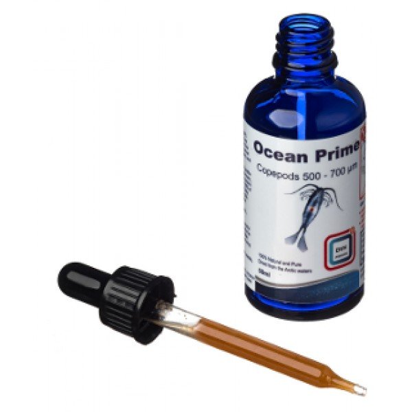 DVH OCEAN PRIME COPEPODS
