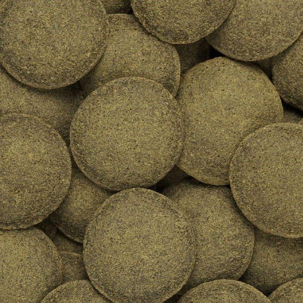 Hikari Algae Wafers- 82g