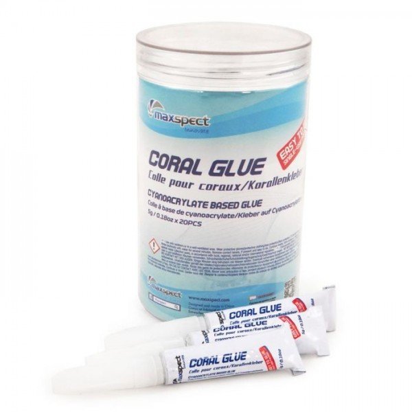 MAXSPECT CORAL GLUE - (1BOX 20PCS ) (5PCS)
