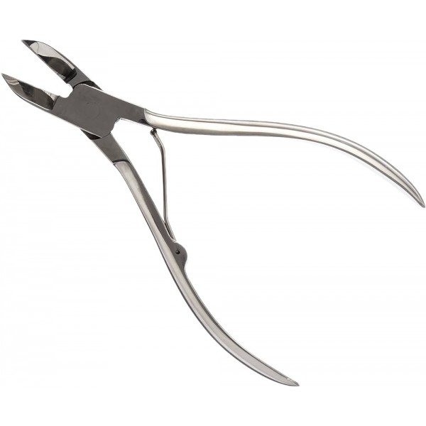 BONE CUTTER CORAL PROPAGATION