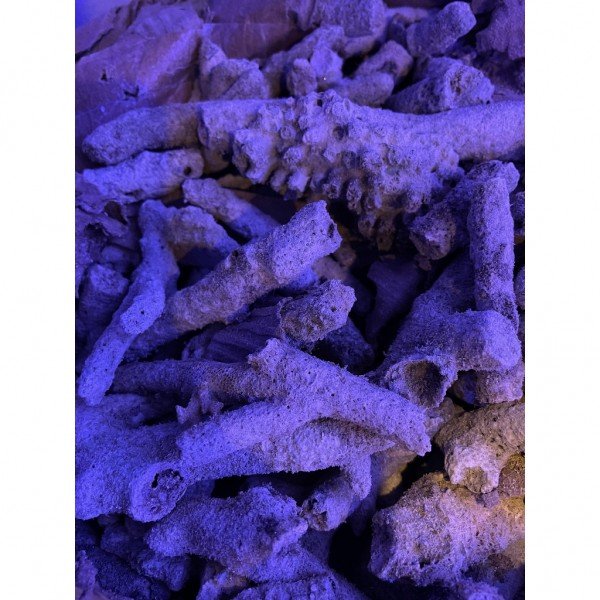 CORAL SAND NUMBER 5 - 10KG
