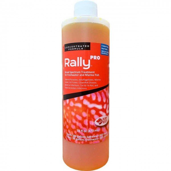 RUBY REEF RALLY PRO - 473ML