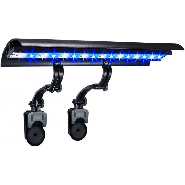 WAVE POINT LED 12"