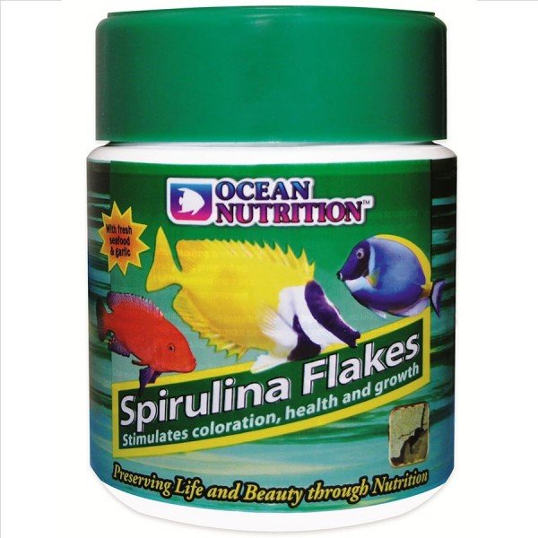 OCEAN NUTRITION SPIRULINA FLAKES - 34G
