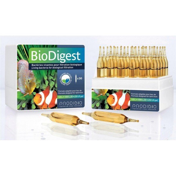 PRODIBIO BIO DIGEST - (5 VIALS) (1BOX 30VIALS)