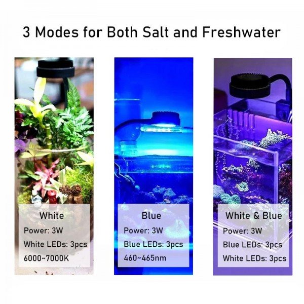 ZETLIGHT M1 MINI TANK ADJUSTABLE LED 3W