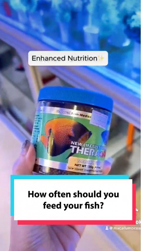 New Life Spectrum Thera-A